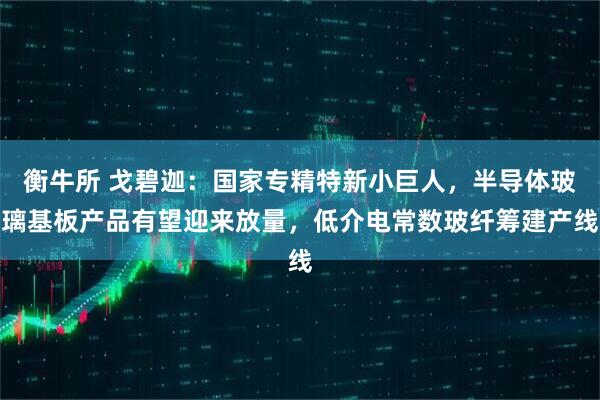 衡牛所 戈碧迦：国家专精特新小巨人，半导体玻璃基板产品有望迎来放量，低介电常数玻纤筹建产线